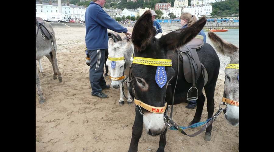 Llandudno